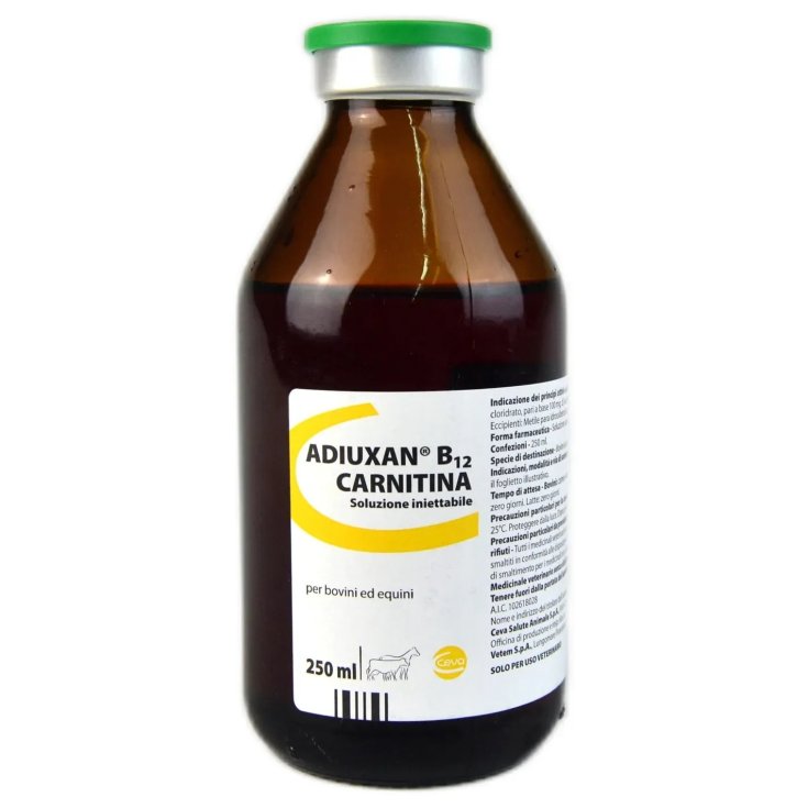 Adiuxan B12 Carnitina 250ml