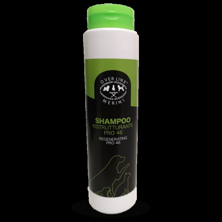 Shampoo Ristrutturante Pro Active 46 Overline Merini 1lt