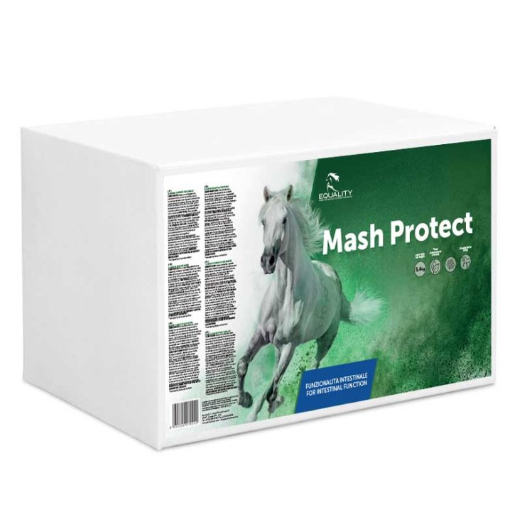 Mash Protect EQUALITY 9 Buste x 600g
