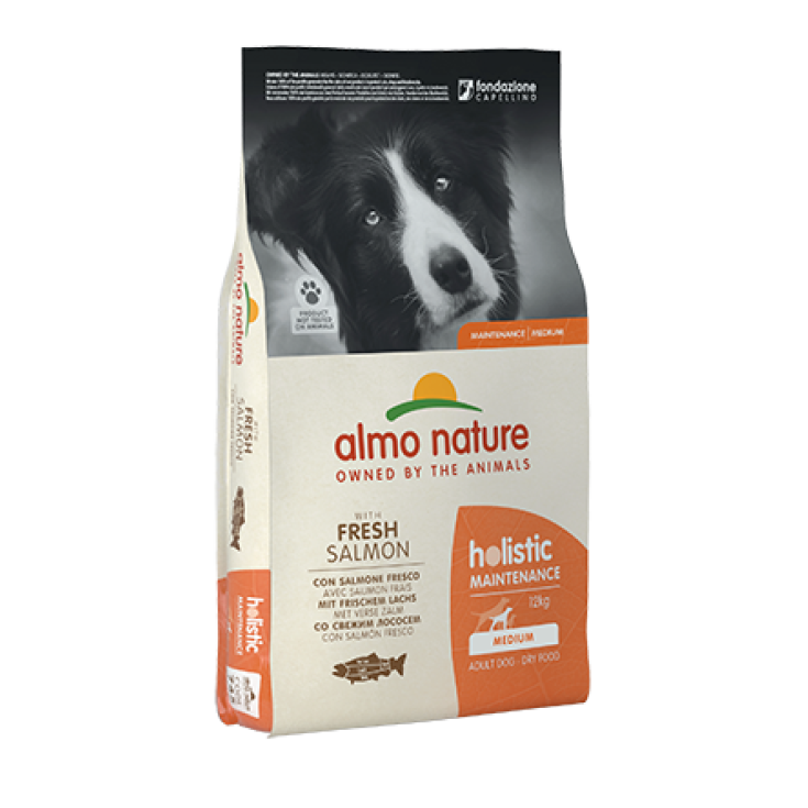 Holistic Maintenance Fresh Con Salmone Fresco M Almo Nature 12kg
