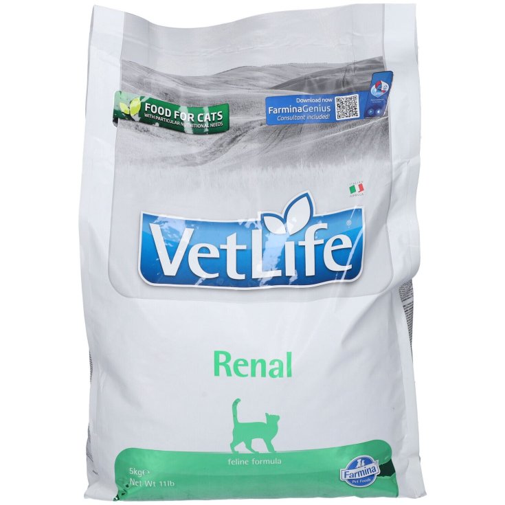 Renal Feline Formula Gatti Vet Life 5kg