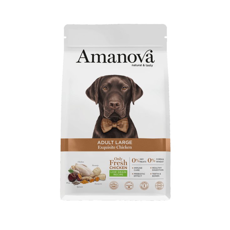 Adult Large Exquisite Chicken Amanova 12kg