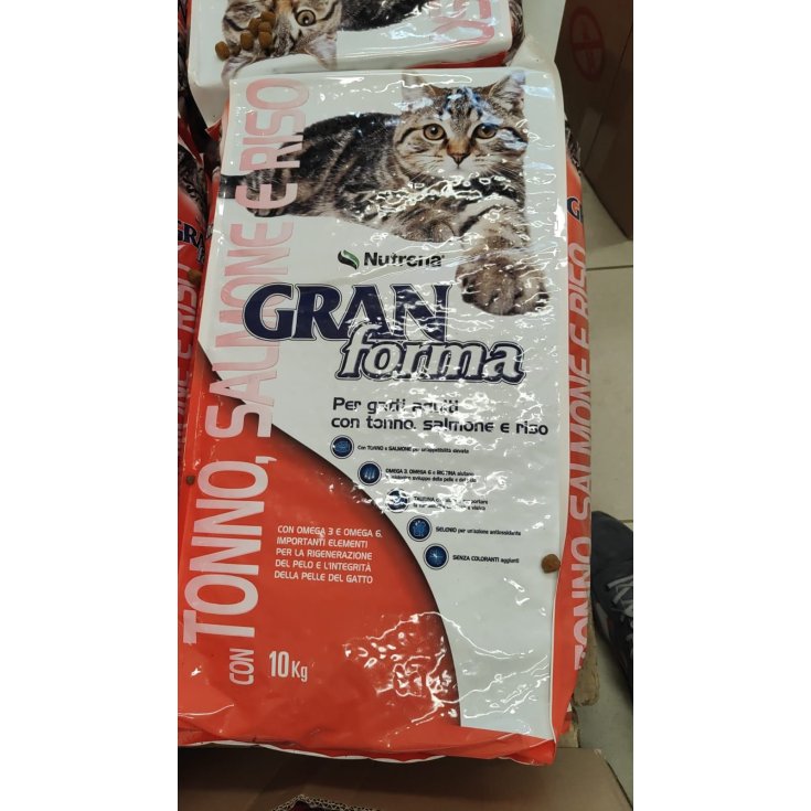 GF GATTO TONNO SALMONE 10KG