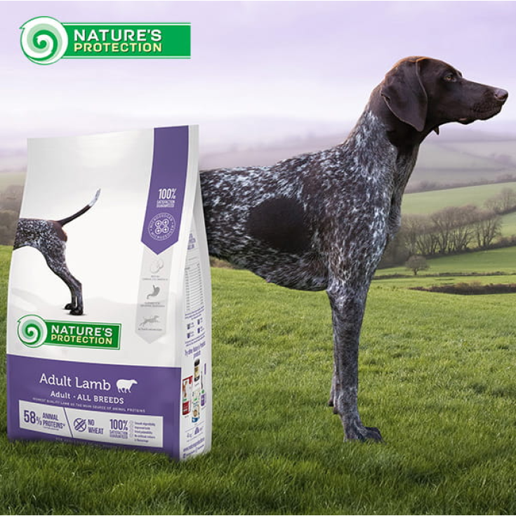 Adult Dog Lamb All Breed Nature's Protection 12Kg