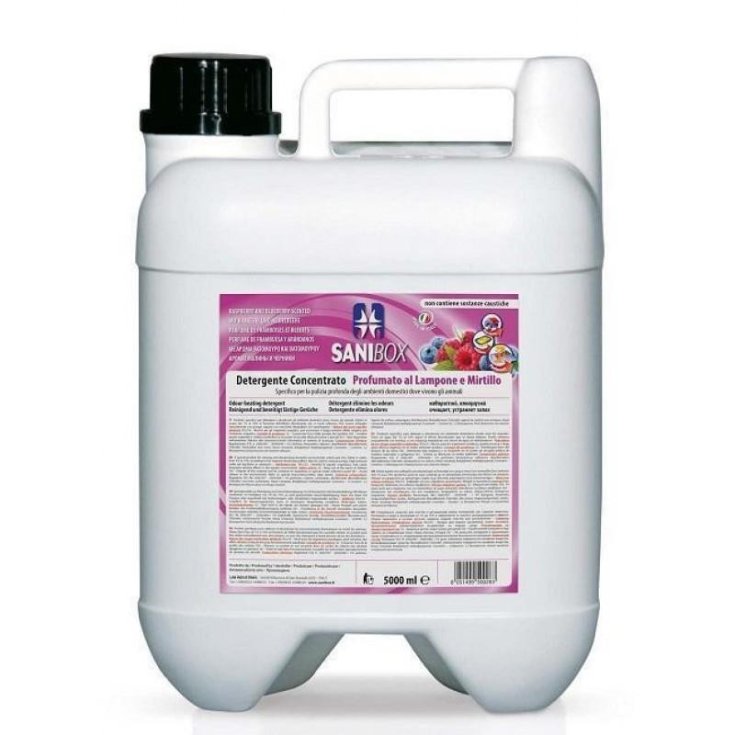 Detergente Concentrato Lampone E Mirtilli Sanibox 5lt