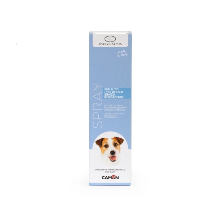 Shampoo Spray Senza Risciacquo Ingenya 200ml