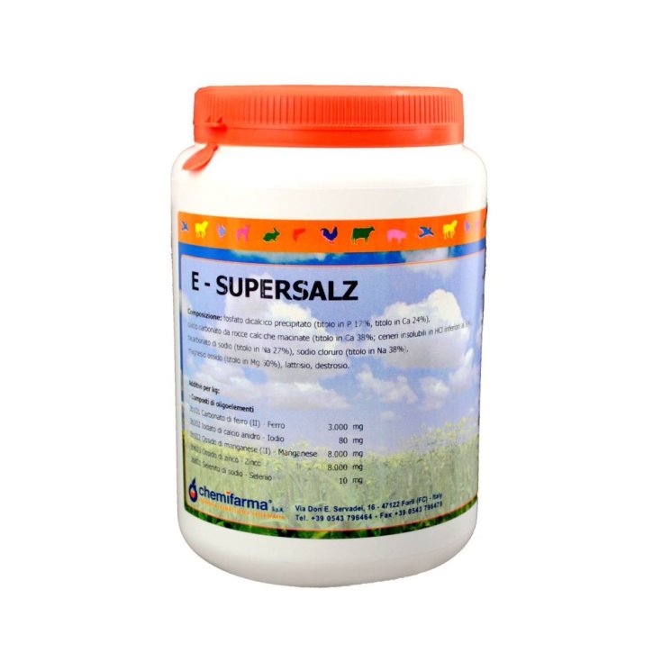 E-SUPERSALZ 1Kg