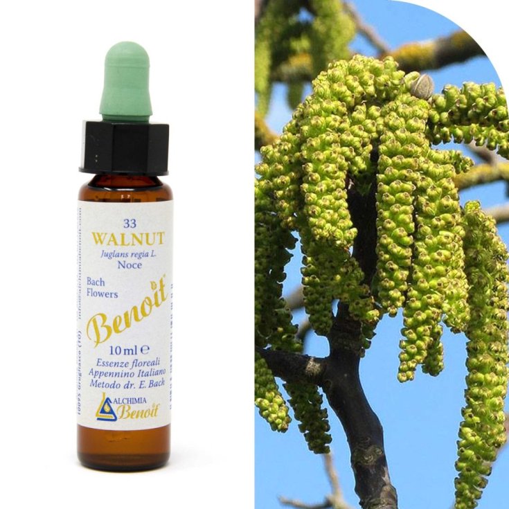 Walnut Benoit&reg; 10ml