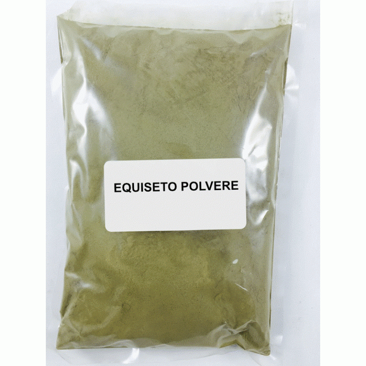 Equiseto Polvere Fusti Sterili Erbamea 1000g