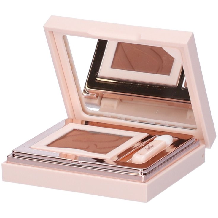 Defence Color Silky Touch 423 Brique Bionike 3g