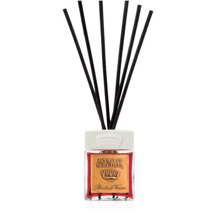 Diffusore Ambiente Bacche di Vinum Acqua di Bolgheri 100ml