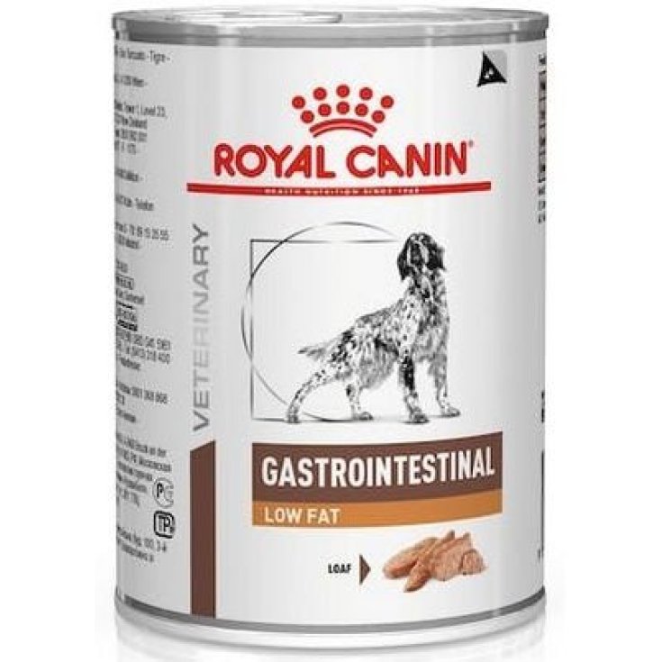Veterinary Diet Gastrointestinal Low Fat 420gr