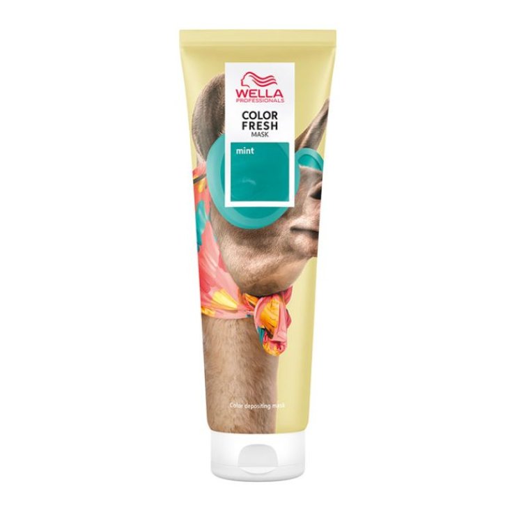 Color Fresh Mask Menta Wella 150ml