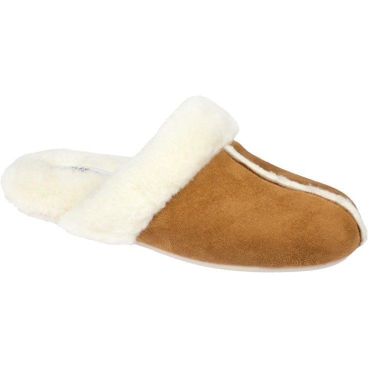 Lovely Camel Tg.37&nbsp;Scholl