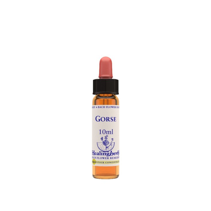 Gorse Fiori di Bach Healing Herbs 10ml