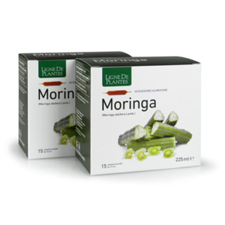 Moringa Ligne De Plantes 15 Ampolle