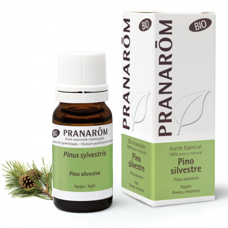 Olio Essenziale Pino Silvestre Pranar&ocirc;m 10ml