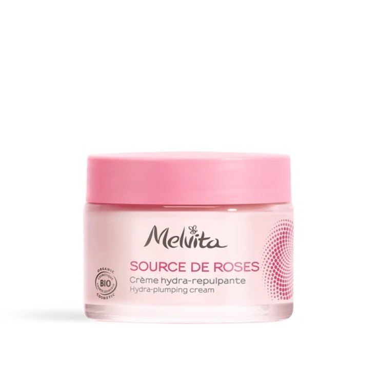 Crema Idratante Rimpolpante Source de Roses Melvita 50ml