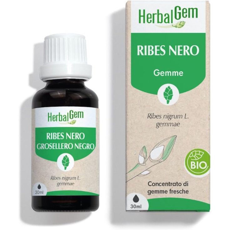 Ribes Nero Bio&nbsp;HerbalGem 30ml
