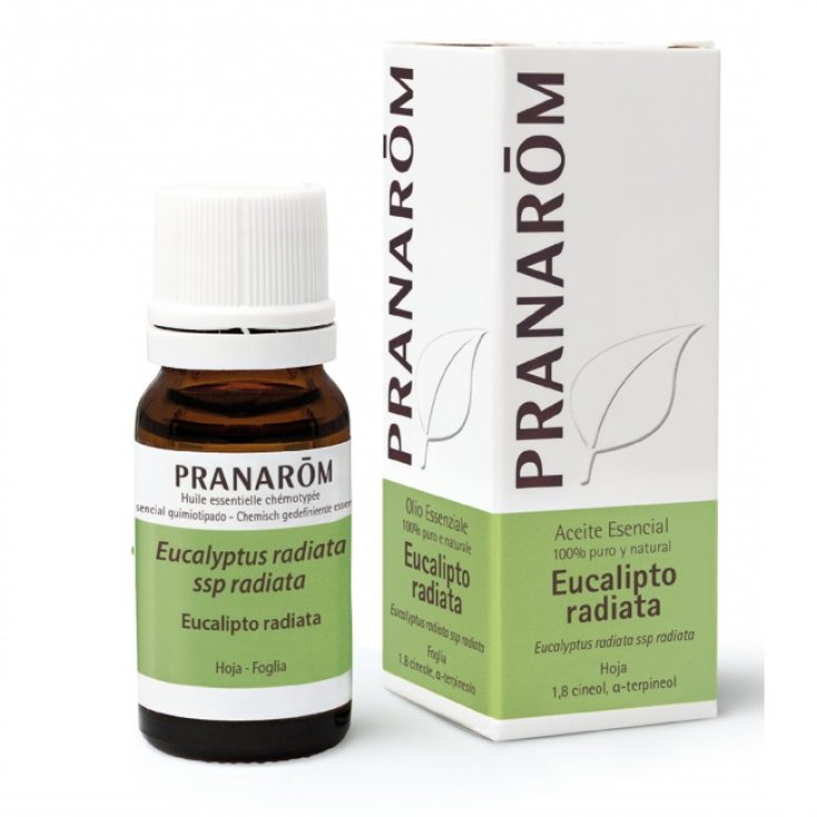 Eucalipto Radiata OE&nbsp;PRANAR&Otilde;M 10ml