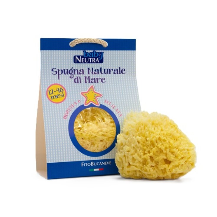 Spugna Naturale di Mare 12-48 M&nbsp;Baby Neutra