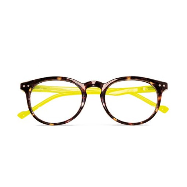 Occhiali da Lettura MARTE Giallo-Demi&nbsp;+2,00 Twins Gold
