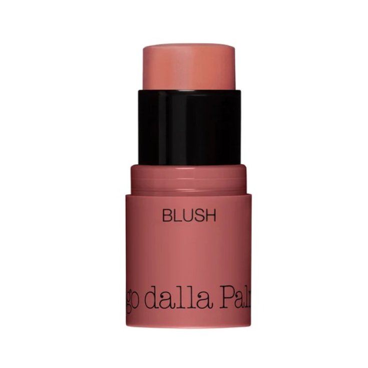 All In One Blush 42 Diego Dalla Palma 4g