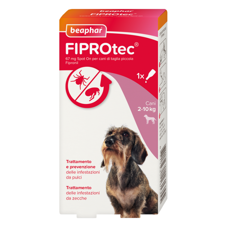 Fiprotec Cane Piccolo Beaphar 1 Pipetta