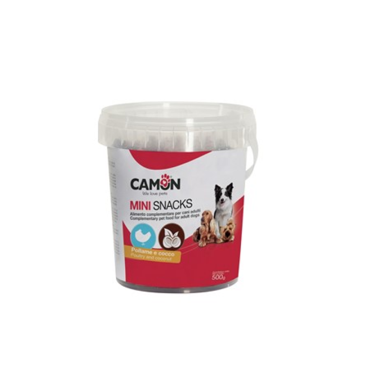 Snackbox Balls Pollo e Cocco CAMON 500g