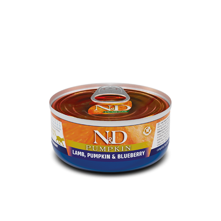 N&D Pumpkin Lamb, Pumpkin & Blueberry Farmina 70g