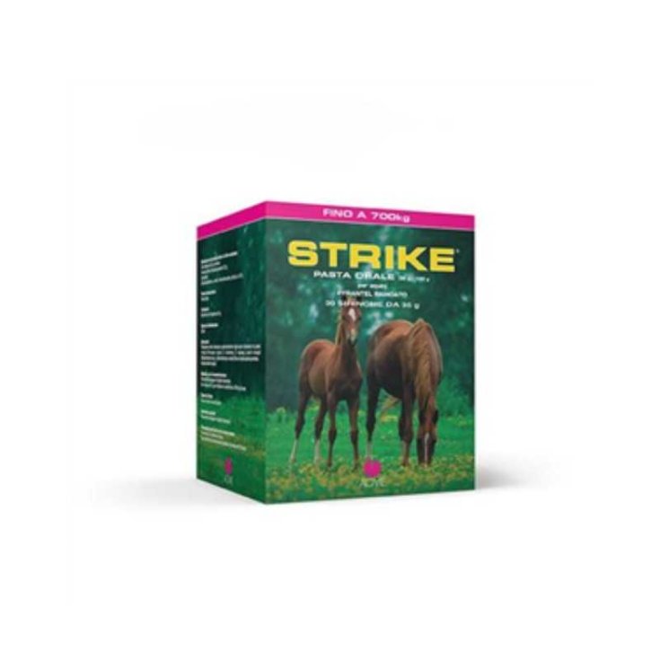 Strike Pasta Orale Acme 20x35g