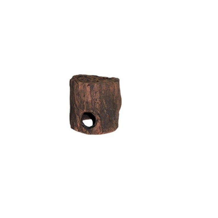 Caverna Ciclidi S 10x9cm