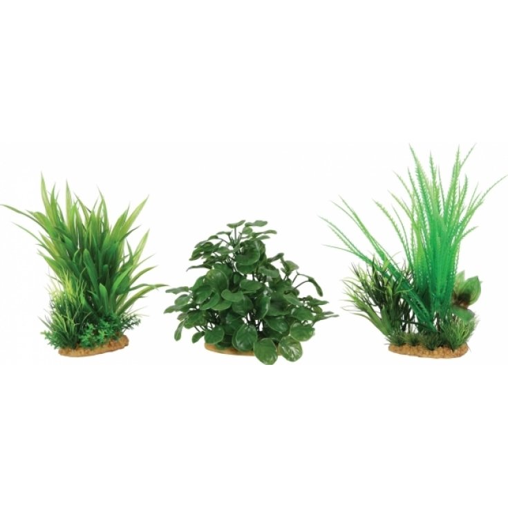 Zolux Display Plants M Set B 6 Pezzi