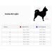 Easy Click Rete Giallo Fluo Tg.1,5 Tre Ponti
