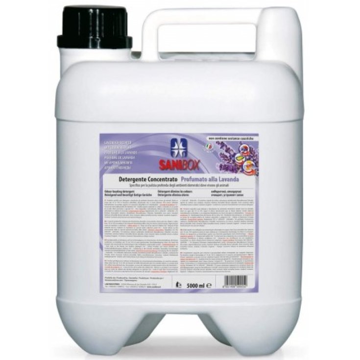 Detergente Concentrato Lavanda Sanibox 5lt