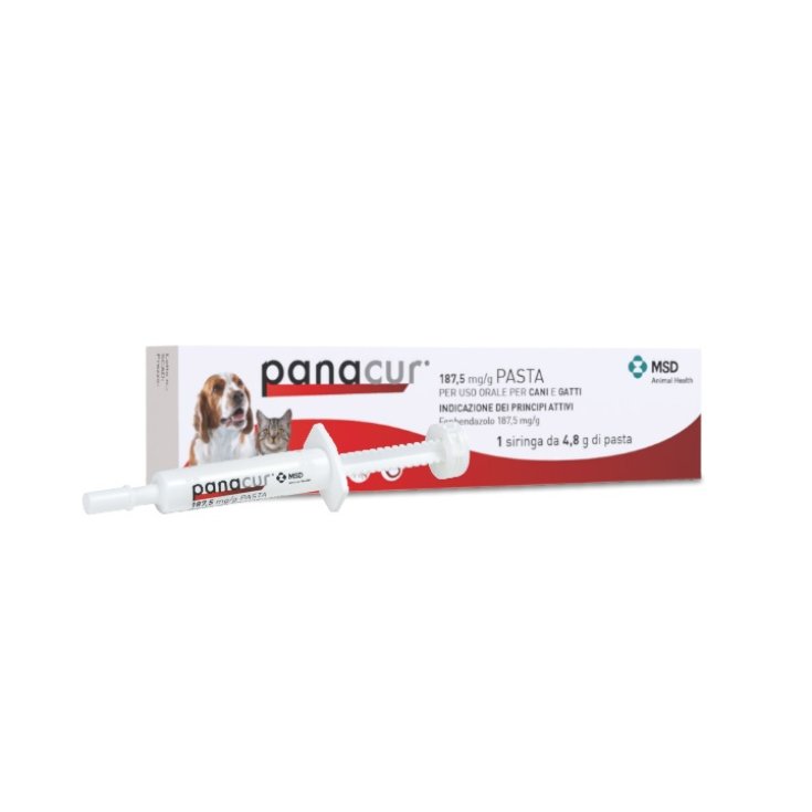 Panacur OS 187,5 mg/g Pasta in Siringa 4,8g