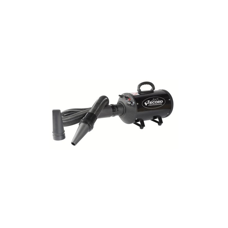 Phon-soffiatore Windy 2200W