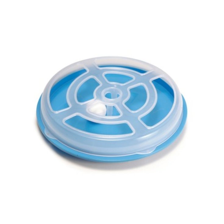 Vertigo Gioco Con Pallina Record 1 Pezzo