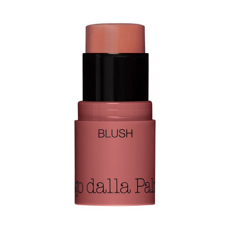 All In One Blush 45 Diego Dalla Palma 4g