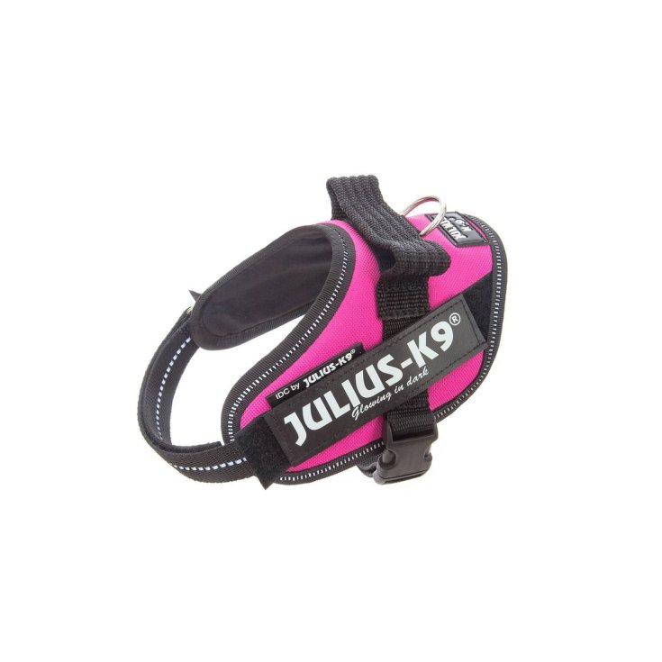 Pettorina Color & Gray Rosa XXS Julius-k9 1 Pezzo