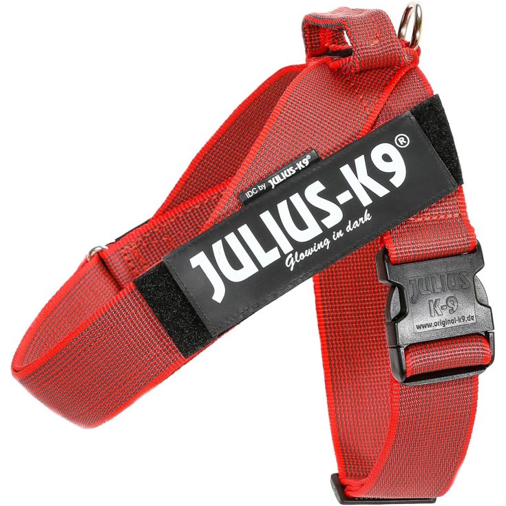 Pettorina Color & Gray Rosso 0 Julius K9 1 Pezzo