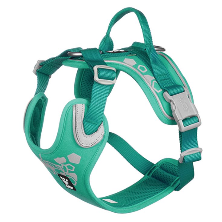 Pettorina Weekend Warrior Peacock 40-45cm Hurtta 1 Pezzo