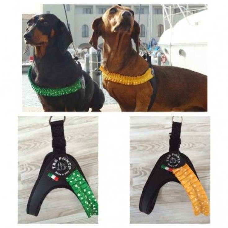 Pettorina Fashion Plisse Plastica Verde 2,5 1 Pezzo