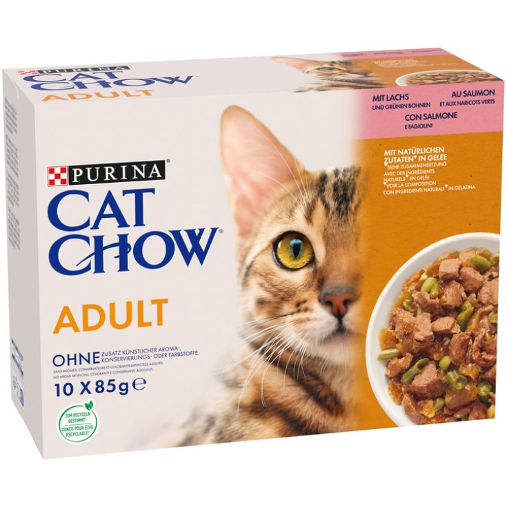 Cat Chow Adult Salmone Purina 10x85g
