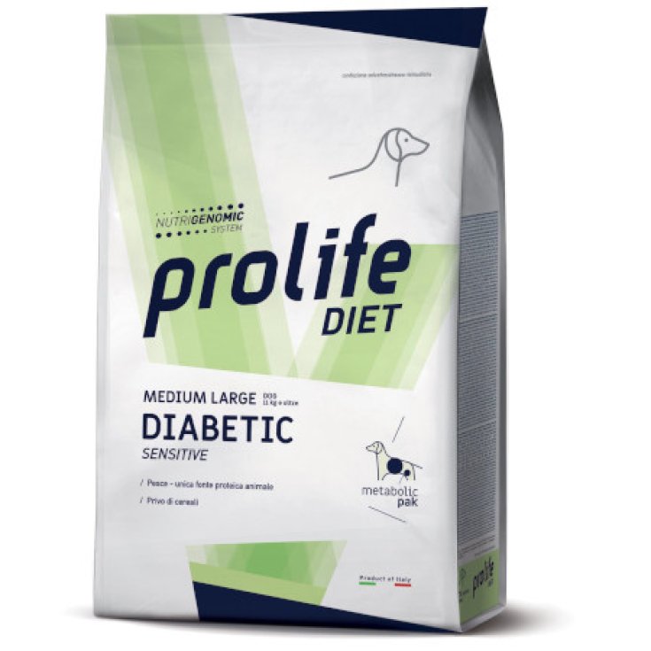Diet Dog  Medium  Large Diabetic Sensitive - 2KG