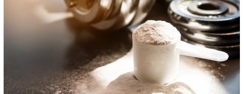 A cosa servono le proteine idrolizzate? A cosa servono le proteine idrolizzate?