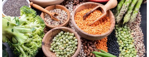Che cosa sono e a dove si trovano le proteine vegetali