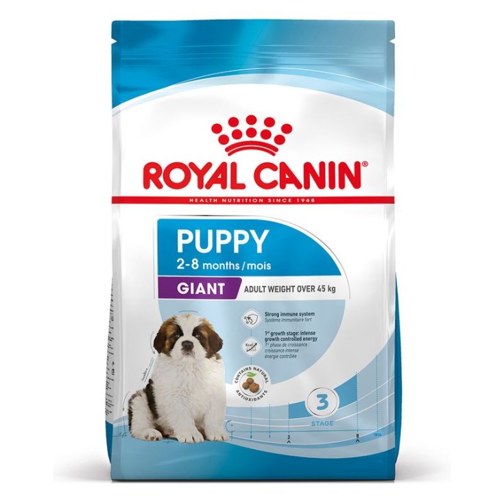 Science Plan Large Puppy con Pollo - 12KG
