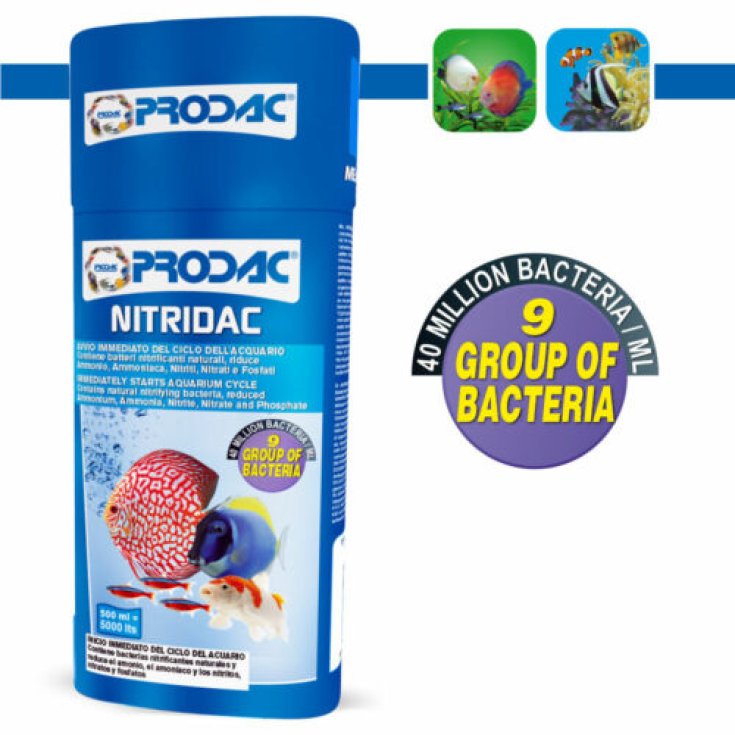 NITRIDAC 100 ml
