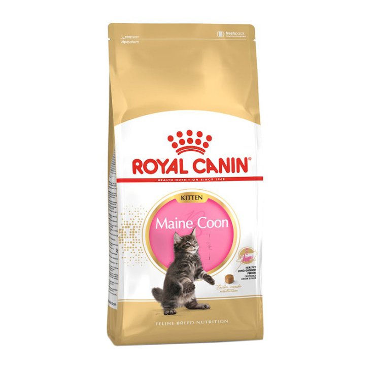 Royal Canin Maine Coon Kitten 400 g, Alimento per Gattini Fino a 15 Mesi